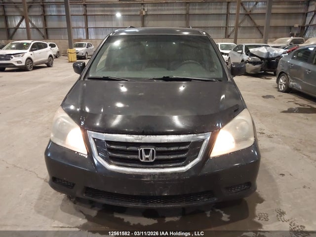 Продажа на аукционе авто 2008 Honda Odyssey, vin: 5FNRL38288B505867, номер лота: 12561582