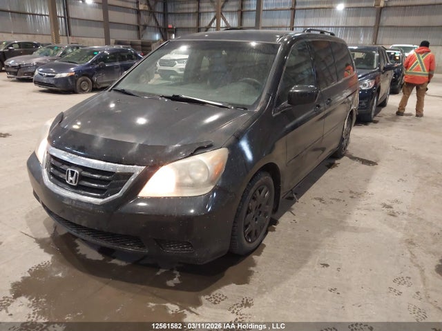 Продажа на аукционе авто 2008 Honda Odyssey, vin: 5FNRL38288B505867, номер лота: 12561582