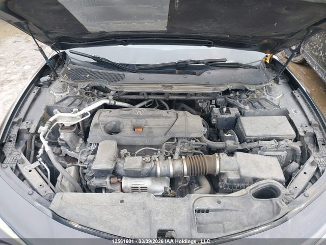 19UUB6F49MA801133 Acura TLX