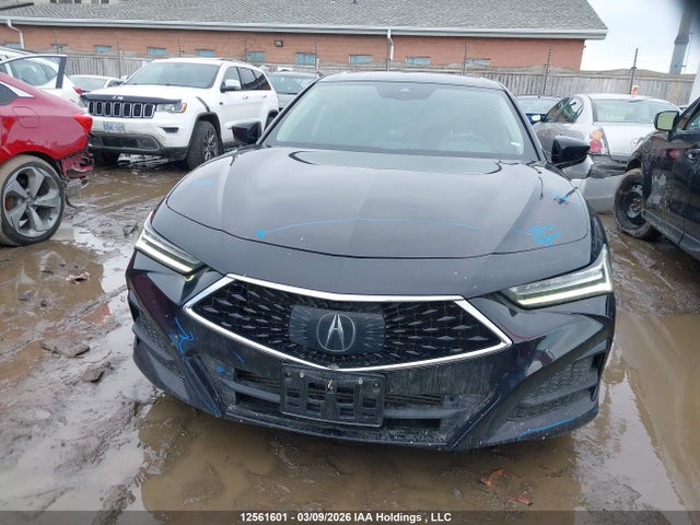 19UUB6F49MA801133 Acura TLX