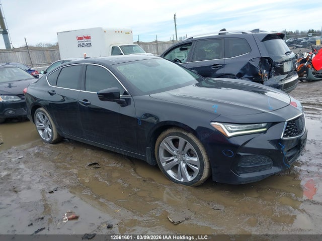 19UUB6F49MA801133 Acura TLX