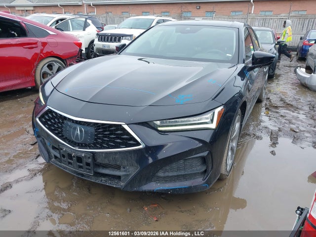 19UUB6F49MA801133 Acura TLX