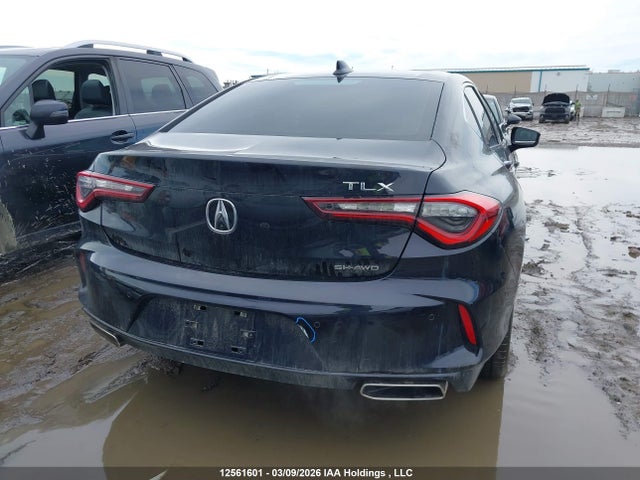 19UUB6F49MA801133 Acura TLX