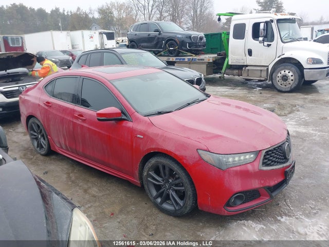 19UUB3F67KA800043 Acura Tlx Technology/a-spec