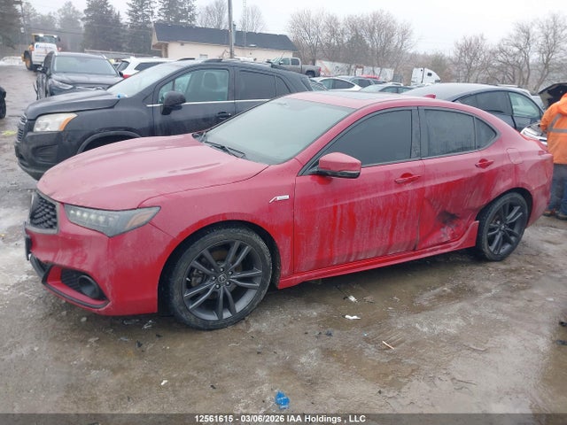 19UUB3F67KA800043 Acura Tlx Technology/a-spec