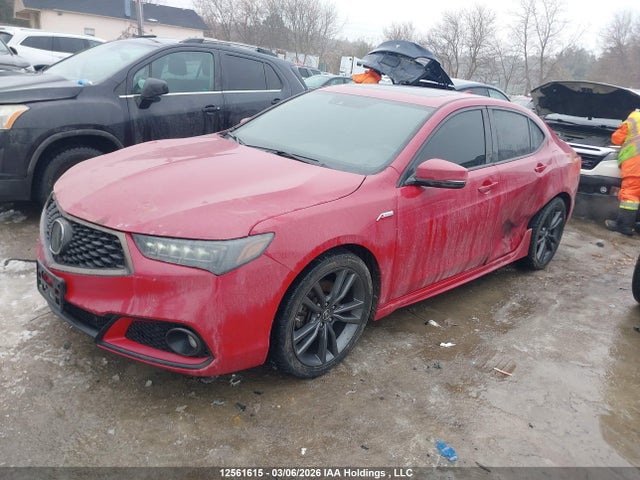 19UUB3F67KA800043 Acura Tlx Technology/a-spec