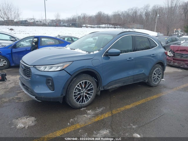2025 Ford Escape Phev მანქანა იყიდება აუქციონზე, vin: 1FMCU0E19SUA63690, აუქციონის ნომერი: 12561640