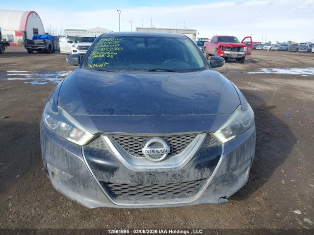 12561695 :رقم المزاد ، 1N4AA6AP2GC902230 vin ، 2016 Nissan Maxima Platinum/sl/sr/sv مزاد بيع