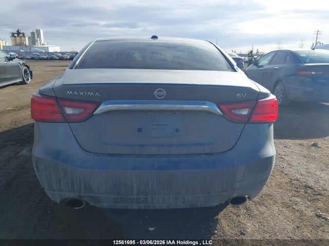 12561695 :رقم المزاد ، 1N4AA6AP2GC902230 vin ، 2016 Nissan Maxima Platinum/sl/sr/sv مزاد بيع