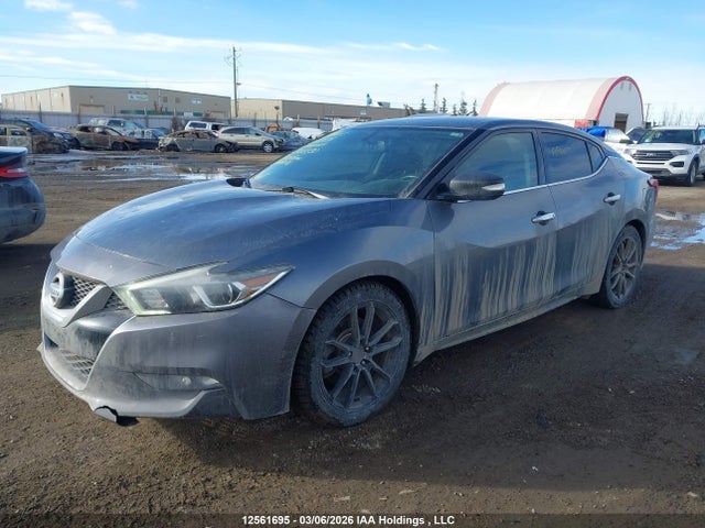 12561695 :رقم المزاد ، 1N4AA6AP2GC902230 vin ، 2016 Nissan Maxima Platinum/sl/sr/sv مزاد بيع