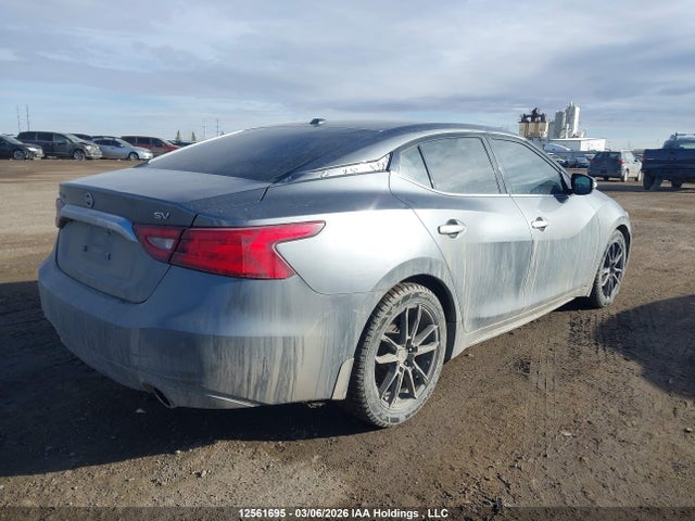 12561695 :رقم المزاد ، 1N4AA6AP2GC902230 vin ، 2016 Nissan Maxima Platinum/sl/sr/sv مزاد بيع