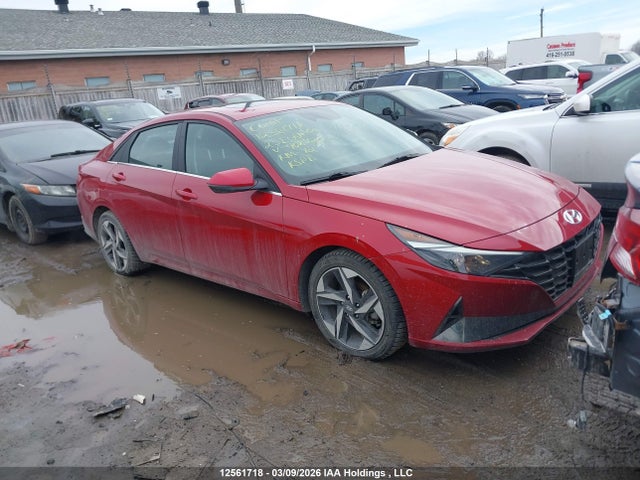 KMHLN4AG0PU408420 Hyundai Elantra Luxury Ivt
