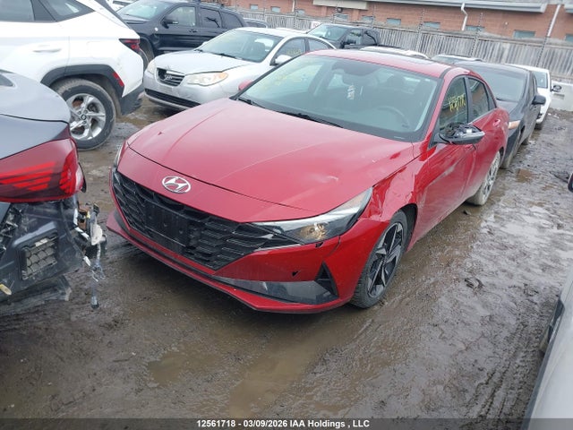 KMHLN4AG0PU408420 Hyundai Elantra Luxury Ivt