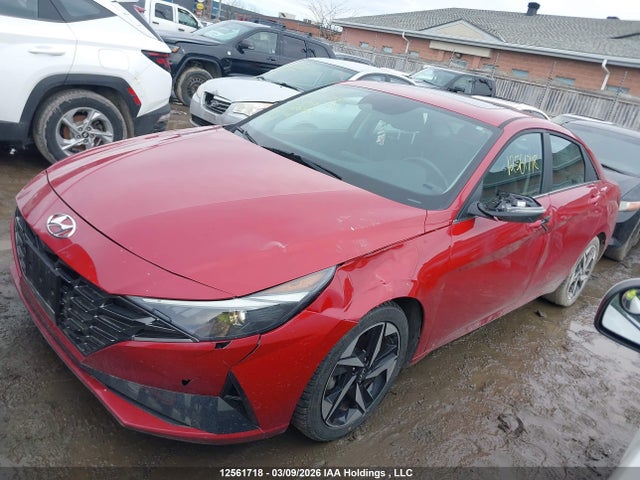 KMHLN4AG0PU408420 Hyundai Elantra Luxury Ivt