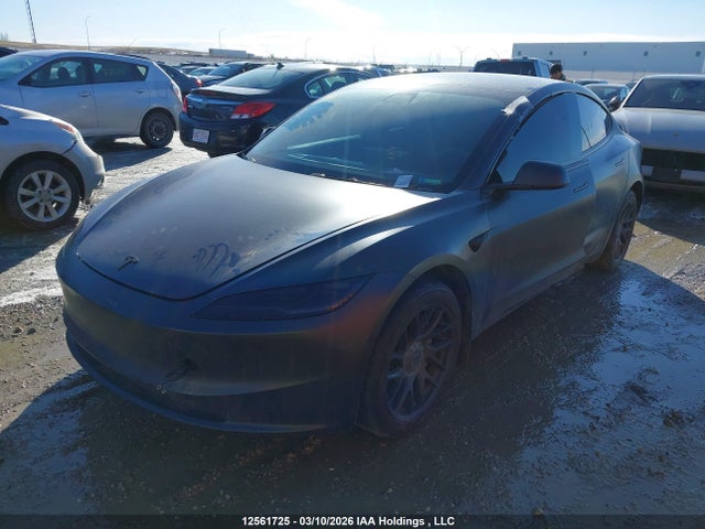 Aukcja sprzedaży 2024 Tesla Model 3 Long Range, vin: LRW3E7EB9RC135617, numer aukcji: 12561725
