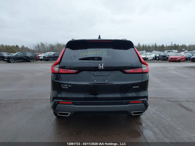 Продажа на аукционе авто 2024 Honda Cr-v Touring Hybrid, vin: 2HKRS6H95RH215977, номер лота: 12561733