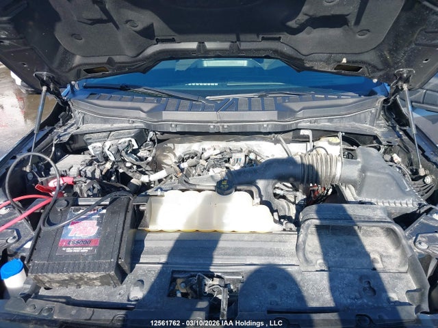2024 Ford F-150 Xlt მანქანა იყიდება აუქციონზე, vin: 1FTEW3LP7RKE42421, აუქციონის ნომერი: 12561762