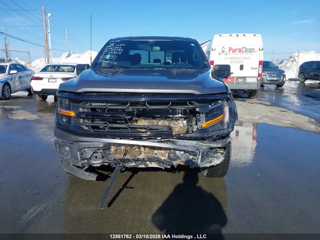 Продаж на аукціоні авто 2024 Ford F-150 Xlt, vin: 1FTEW3LP7RKE42421, номер лоту: 12561762