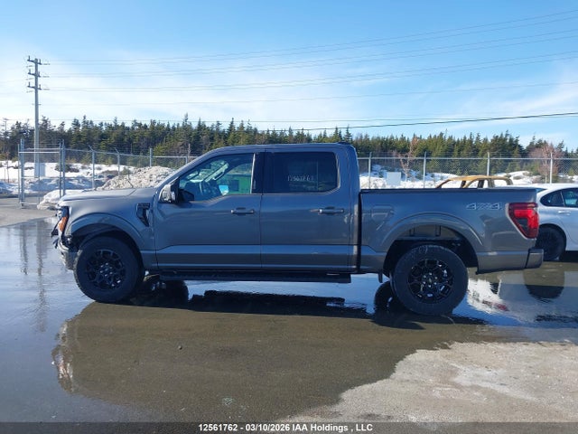 12561762 :رقم المزاد ، 1FTEW3LP7RKE42421 vin ، 2024 Ford F-150 Xlt مزاد بيع