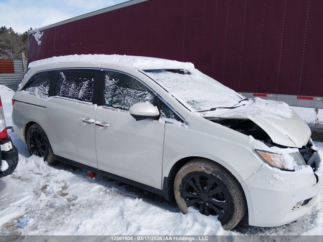 5FNRL5H62GB504047 Honda Odyssey Ex-l