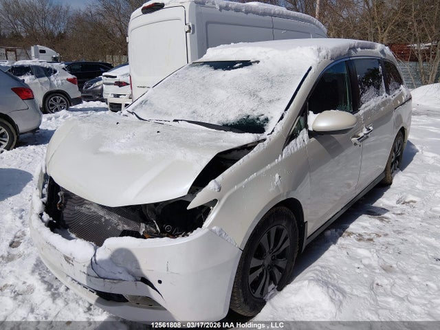 5FNRL5H62GB504047 Honda Odyssey Ex-l