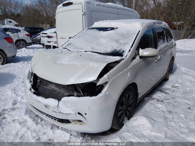 5FNRL5H62GB504047 Honda Odyssey Ex-l