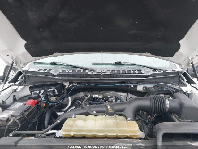 Продаж на аукціоні авто 2020 Ford F150 Supercrew, vin: 1FTEW1EP6LKE49515, номер лоту: 12561822