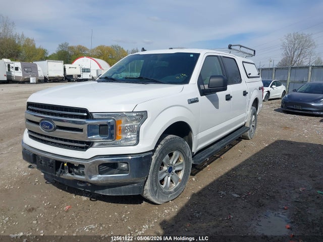 Продаж на аукціоні авто 2020 Ford F150 Supercrew, vin: 1FTEW1EP6LKE49515, номер лоту: 12561822