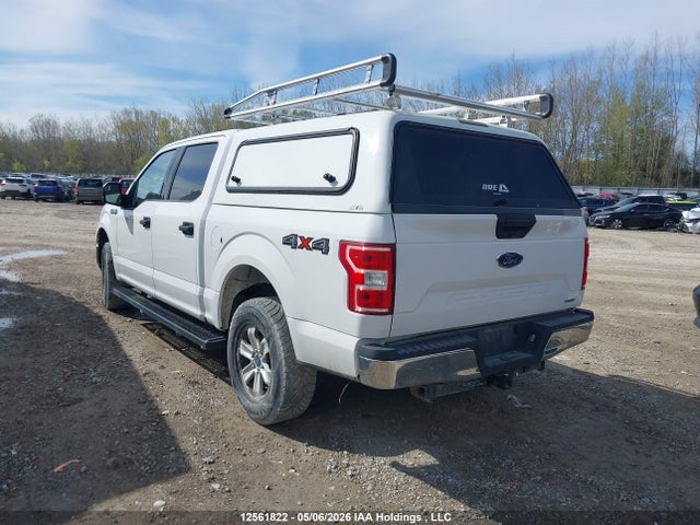 Продаж на аукціоні авто 2020 Ford F150 Supercrew, vin: 1FTEW1EP6LKE49515, номер лоту: 12561822