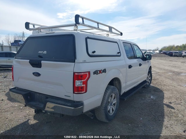 Продаж на аукціоні авто 2020 Ford F150 Supercrew, vin: 1FTEW1EP6LKE49515, номер лоту: 12561822