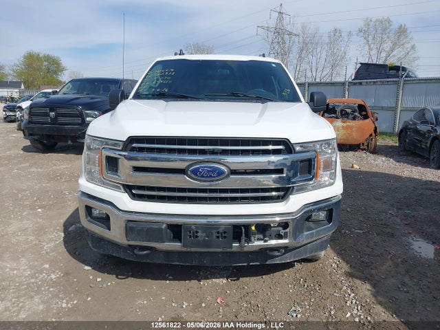 Продаж на аукціоні авто 2020 Ford F150 Supercrew, vin: 1FTEW1EP6LKE49515, номер лоту: 12561822