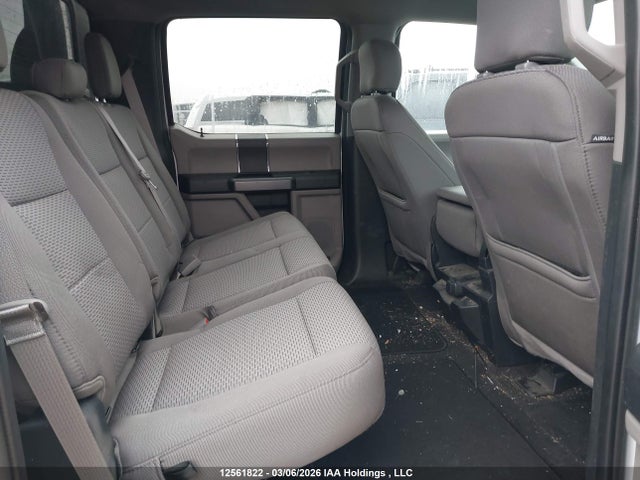 Продаж на аукціоні авто 2020 Ford F150 Supercrew, vin: 1FTEW1EP6LKE49515, номер лоту: 12561822