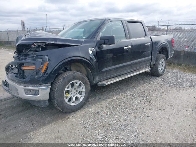 1FTFW3L86SKF02224 Ford F150 Xlt