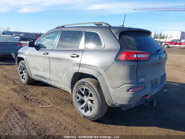 1C4PJMBSXHW561039 Jeep Cherokee Trailhawk