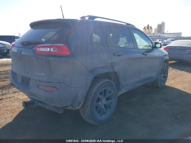 1C4PJMBSXHW561039 Jeep Cherokee Trailhawk