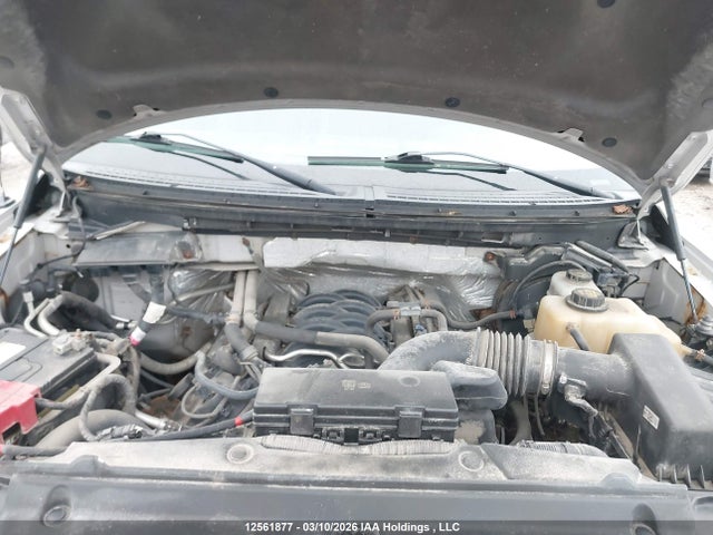 12561877 :رقم المزاد ، 1FTFW1EF0CFC43062 vin ، 2012 Ford F150 Supercrew مزاد بيع