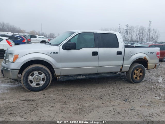 12561877 :رقم المزاد ، 1FTFW1EF0CFC43062 vin ، 2012 Ford F150 Supercrew مزاد بيع