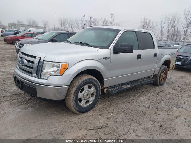 12561877 :رقم المزاد ، 1FTFW1EF0CFC43062 vin ، 2012 Ford F150 Supercrew مزاد بيع