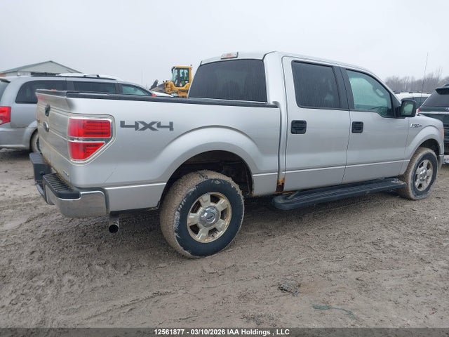 12561877 :رقم المزاد ، 1FTFW1EF0CFC43062 vin ، 2012 Ford F150 Supercrew مزاد بيع