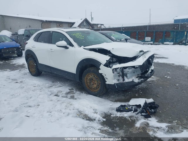 Aukcja sprzedaży 2025 Mazda Cx-30, vin: 3MVDMBCM1SM871651, numer aukcji: 12561885