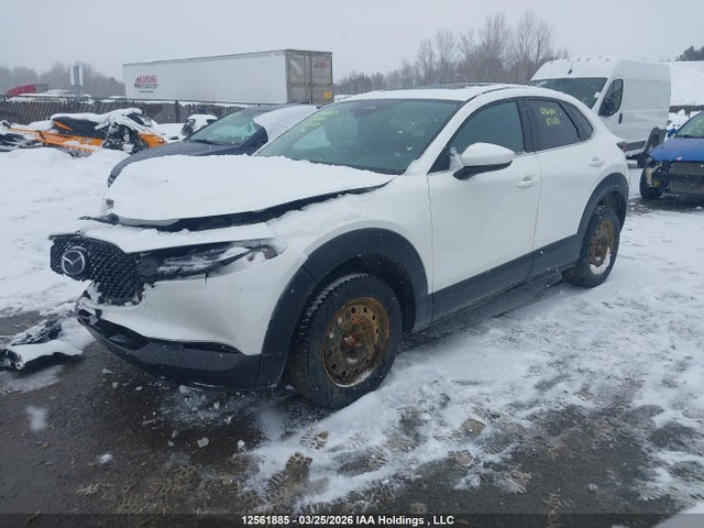 Aukcja sprzedaży 2025 Mazda Cx-30, vin: 3MVDMBCM1SM871651, numer aukcji: 12561885