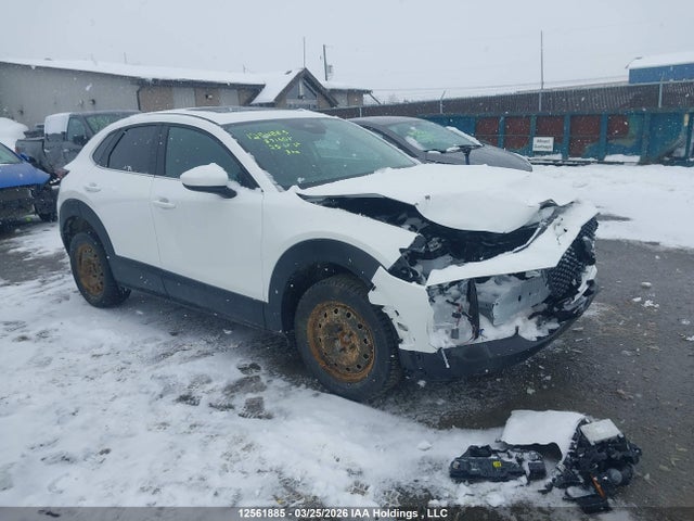 Aukcja sprzedaży 2025 Mazda Cx-30, vin: 3MVDMBCM1SM871651, numer aukcji: 12561885