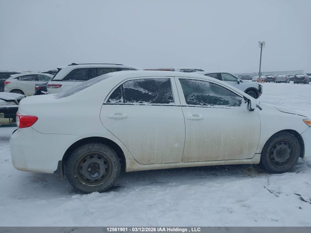 12561901 :رقم المزاد ، 2T1BU4EE5CC879739 vin ، 2012 Toyota Corolla Ce مزاد بيع