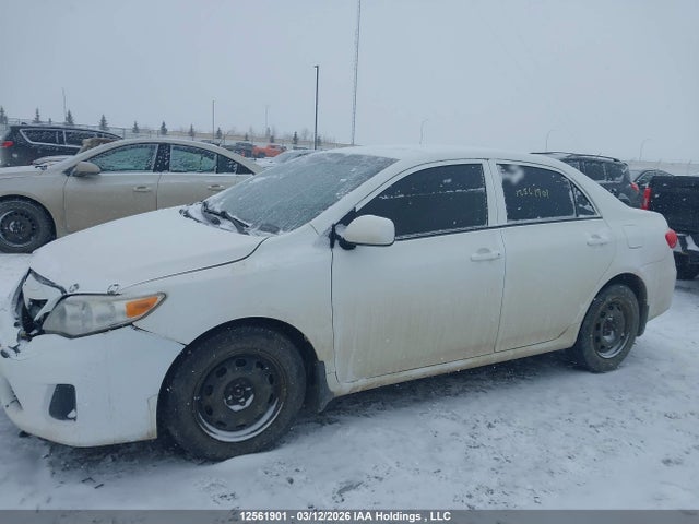 12561901 :رقم المزاد ، 2T1BU4EE5CC879739 vin ، 2012 Toyota Corolla Ce مزاد بيع