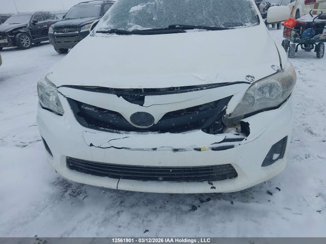 12561901 :رقم المزاد ، 2T1BU4EE5CC879739 vin ، 2012 Toyota Corolla Ce مزاد بيع