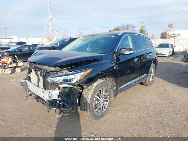 5N1DL0MMXLC533185 Infiniti Qx60 Luxe/pure/special Edition