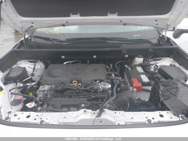12561920 :رقم المزاد ، 2T3R1RFV0SW556979 vin ، 2025 Toyota Rav4 Xle/xle Premium مزاد بيع