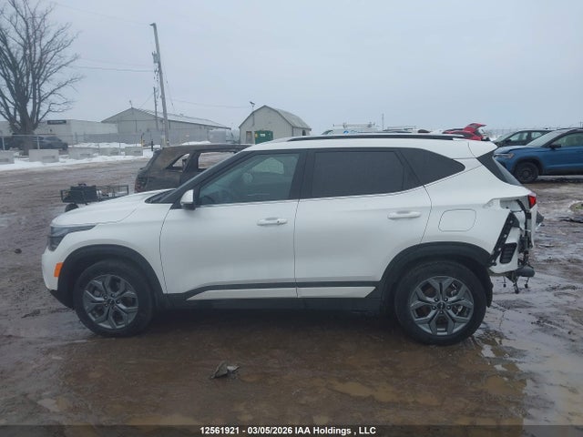 2025 Kia Seltos S მანქანა იყიდება აუქციონზე, vin: KNDEUCAA0S7771684, აუქციონის ნომერი: 12561921