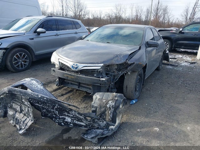 12561936 :رقم المزاد ، 4T1BD1FK9EU112304 vin ، 2014 Toyota Camry Hybrid Xle مزاد بيع