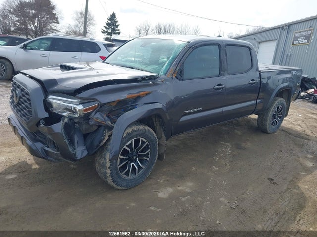 5TFDZ5BN4LX053535 Toyota Tacoma